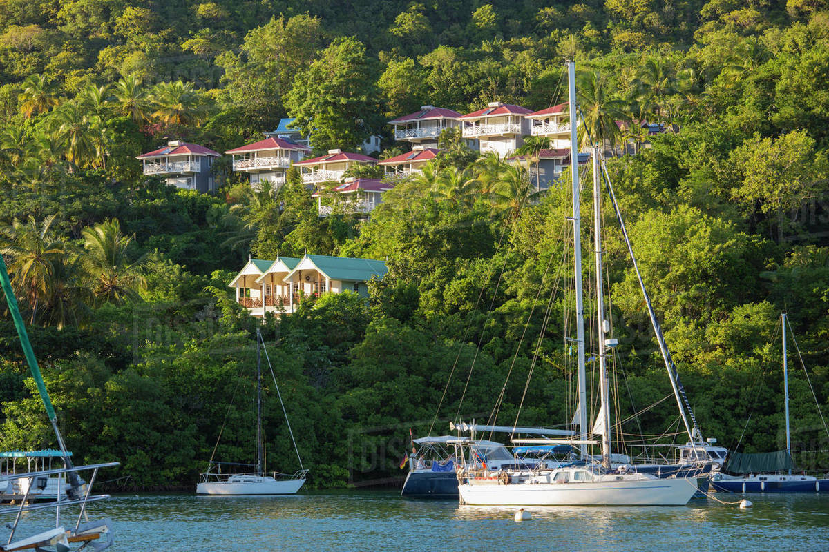 View across the tranquil harbour to wooded hillside, sunset, Marigot Bay, Castries, St. Lucia, Windward Islands, Lesser Antilles, West Indies, Caribbean, Central America Rights-managed stock photo