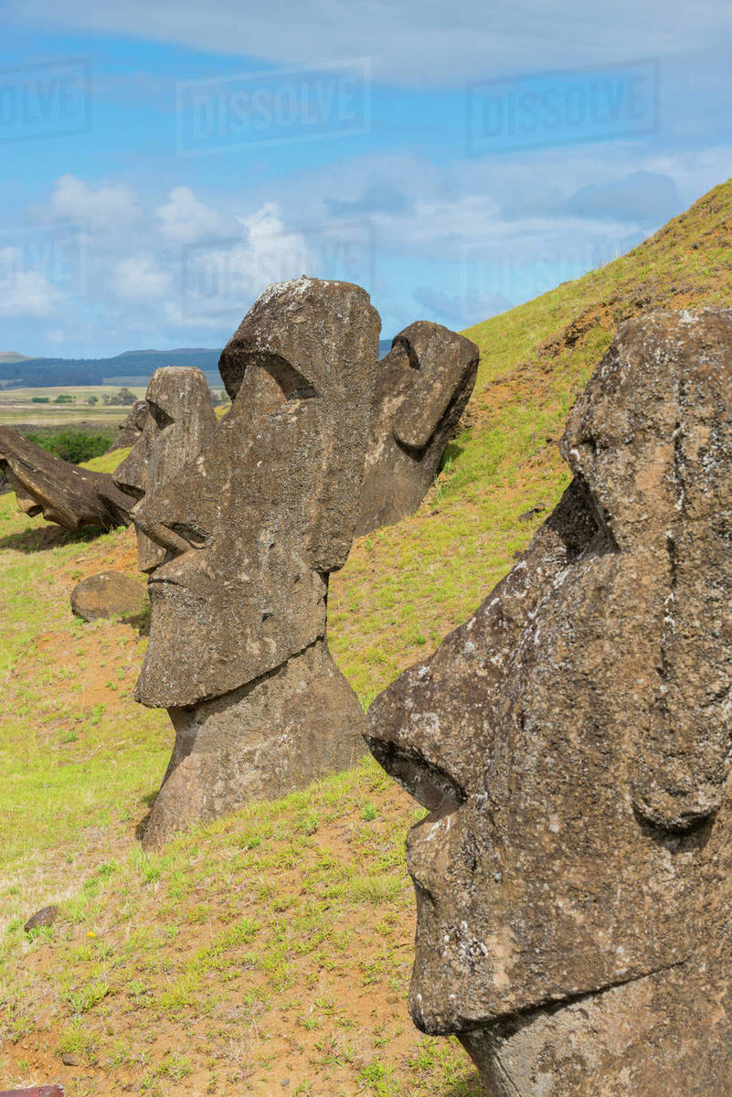 Moai heads of Easter Island, Rapa Nui National Park, UNESCO World