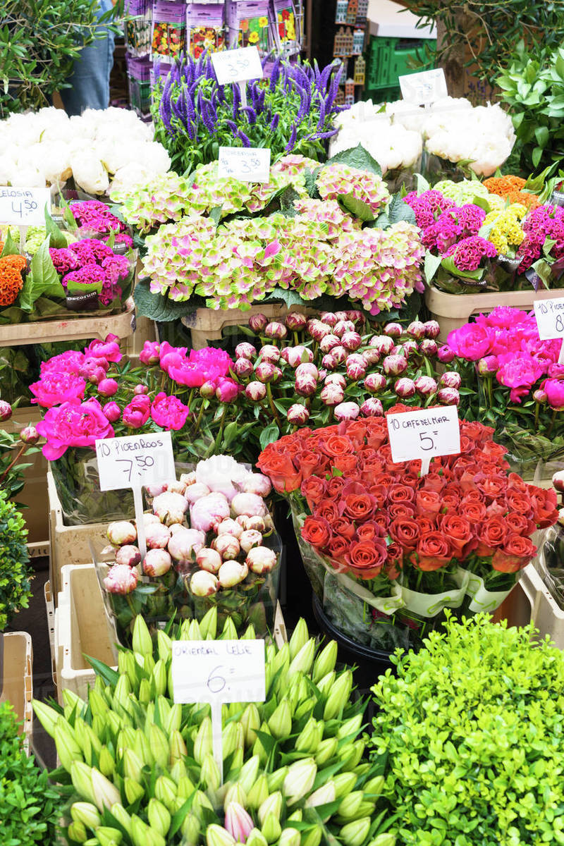 Flowers for sale in the Bloemenmarkt (flower market), Amsterdam, North