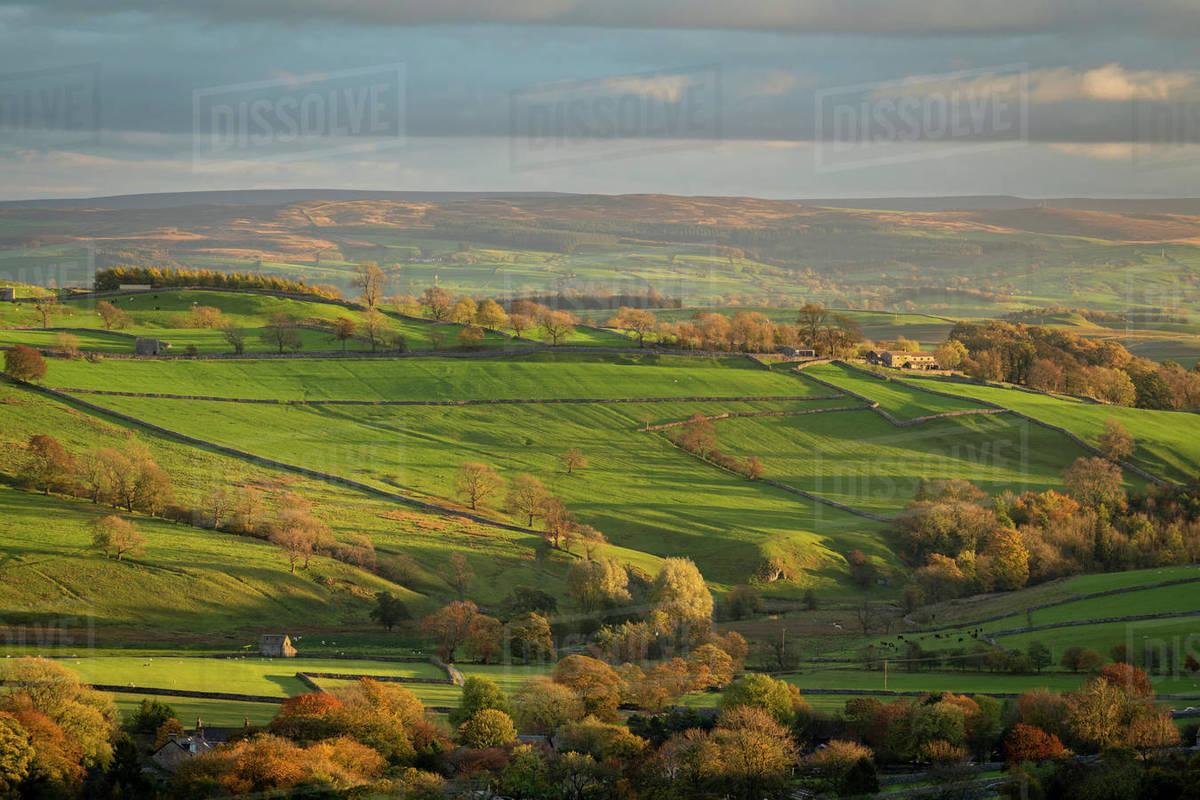 Rolling countryside near Malham in autumn, Yorkshire Dales National ...