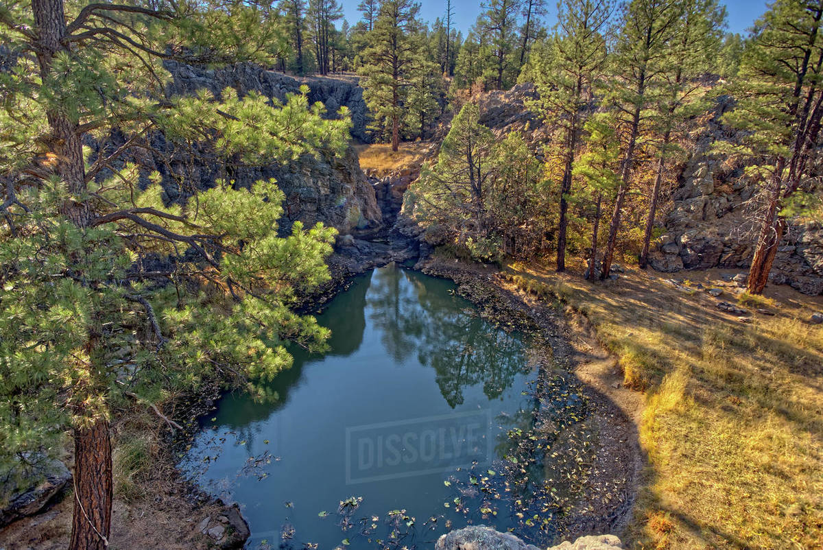 One of several natural ponds near Sycamore Falls known as the Pomeroy
