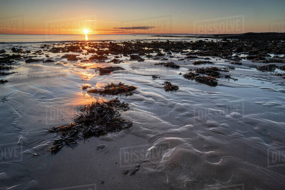 Pools and rocks at low tide, sunrise, Port Eynon Bay, Gower Peninsula