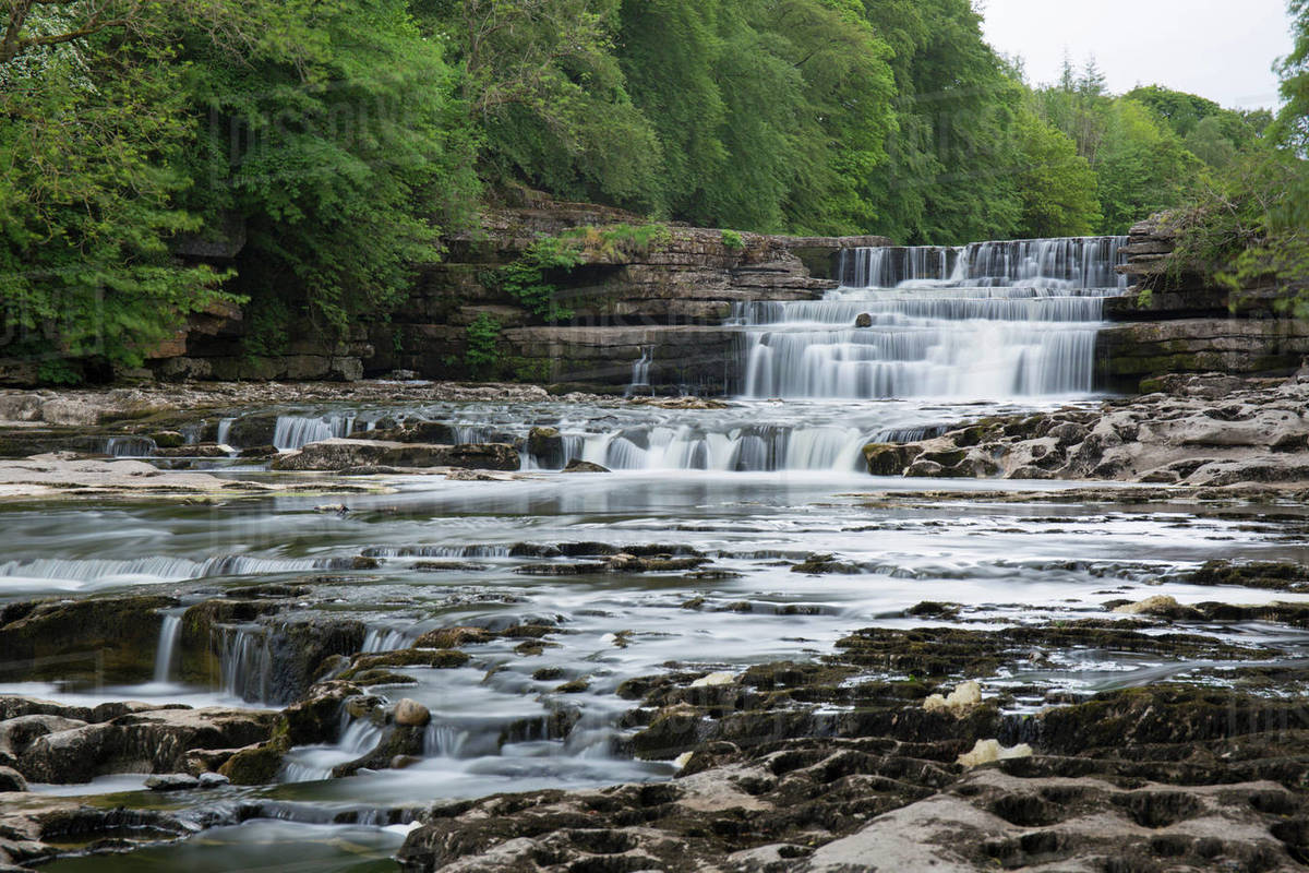 Lower Aysgarth Falls on the River Ure, near Leyburn, Wensleydale