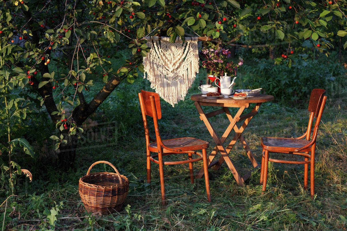 Tea party in the garden Stock Photo Dissolve