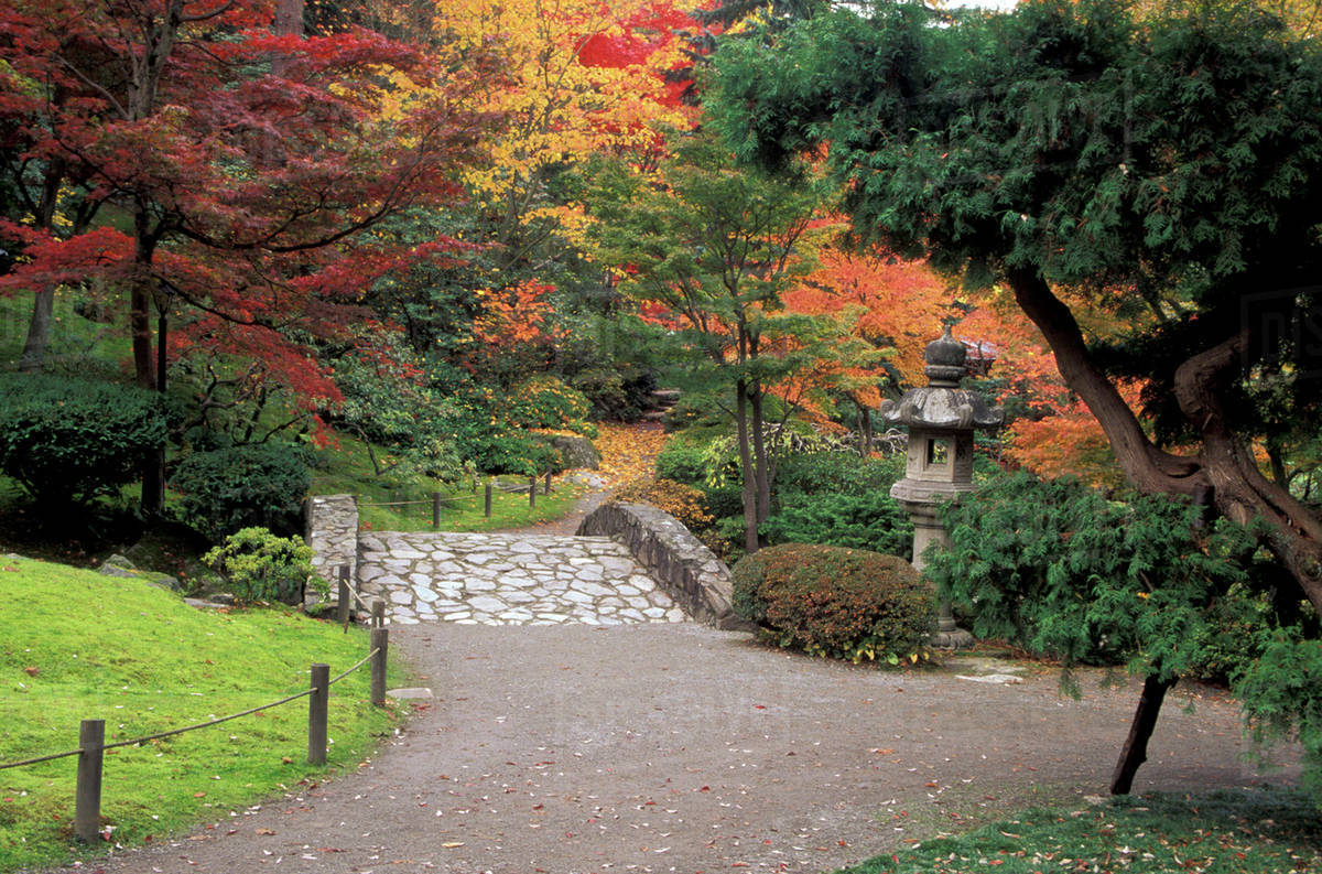 Usa Washington State Seattle Pathway And Stone Bridge With Autumn Pathway And Stone Bridge With Autumn Colors At The Japanese Garden