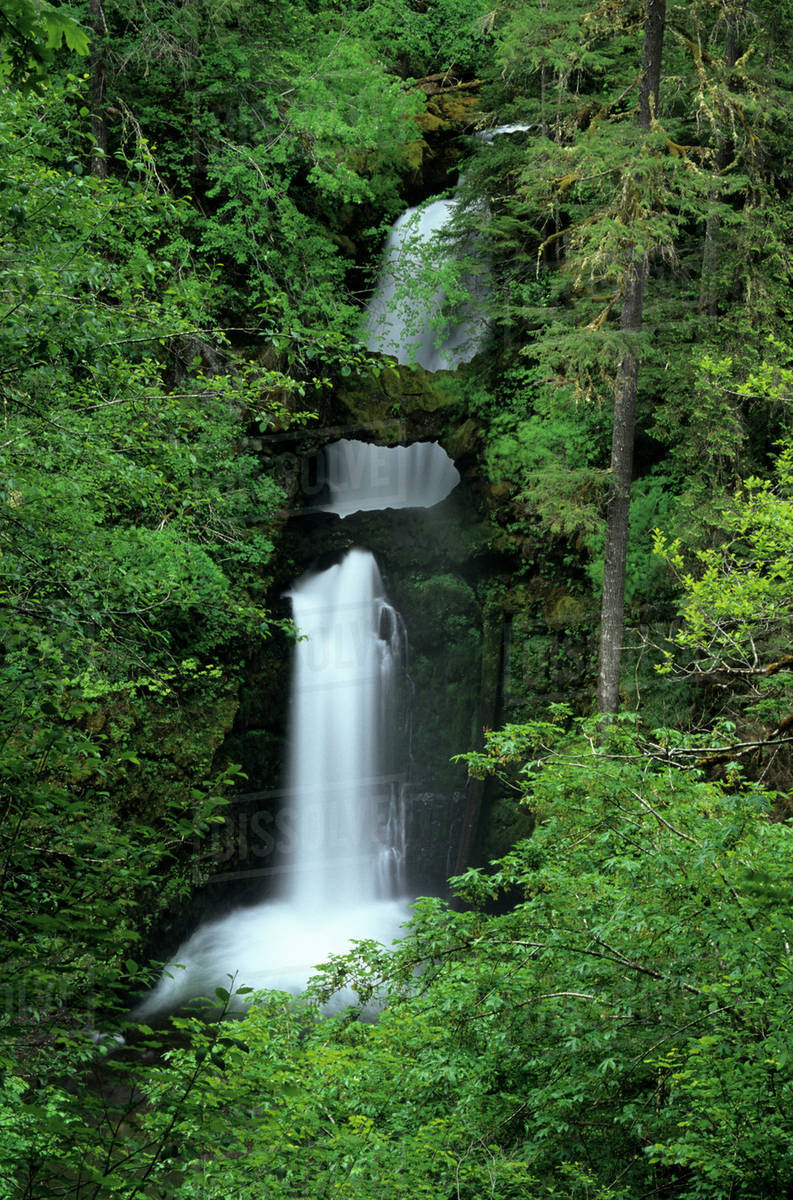 WA, Gifford Pinchot NF, Curly Creek Falls and natural arch formed from