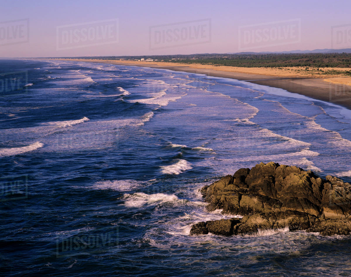 Wa Long Beach Peninsula Along The Pacific Ocean D256 24 164 Wa Long Beach Peninsula Along The Pacific Ocean D256 24 164