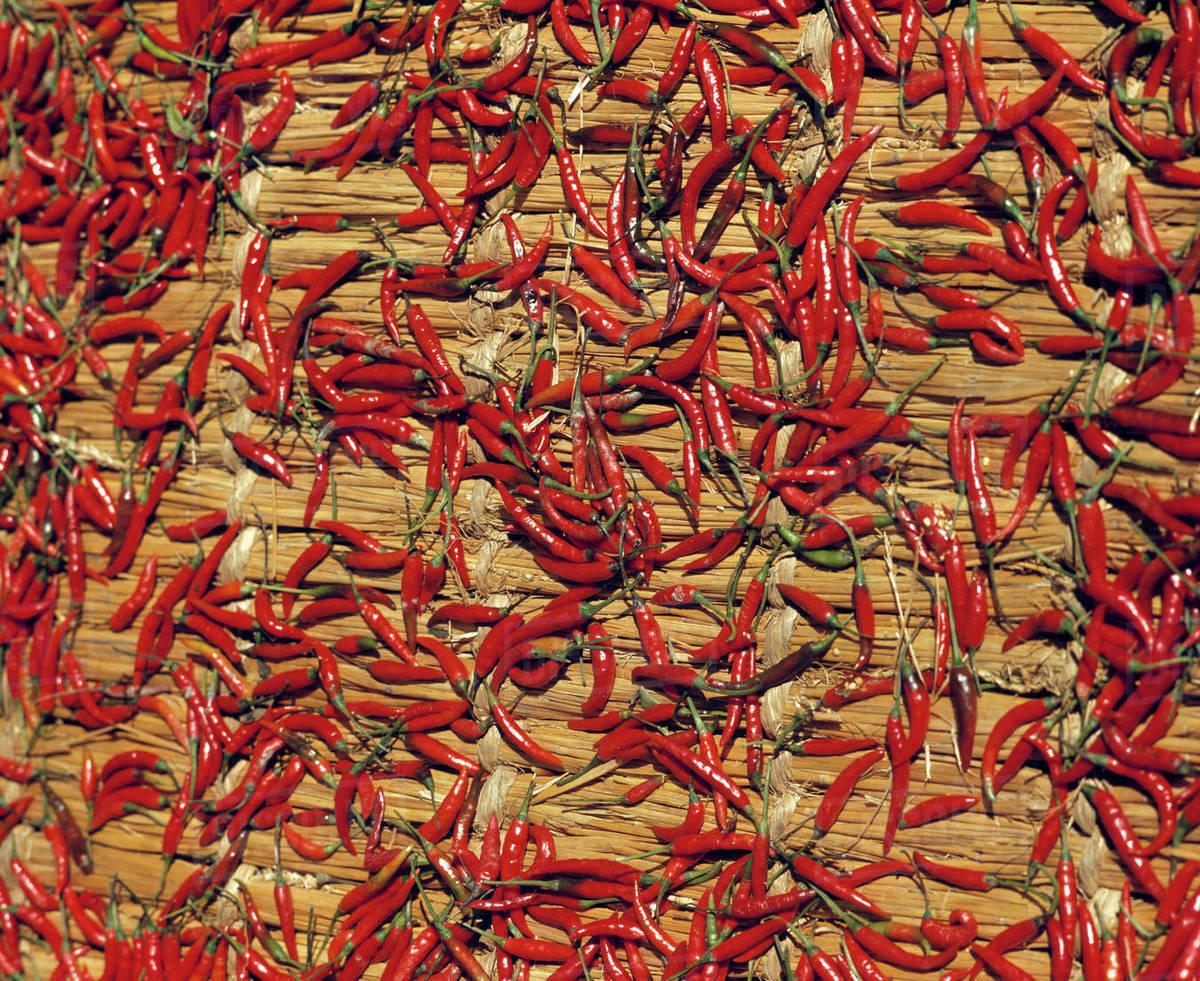Asia, Nepal, Kathmandu. Red chilies dry on straw mats in a courtyard in