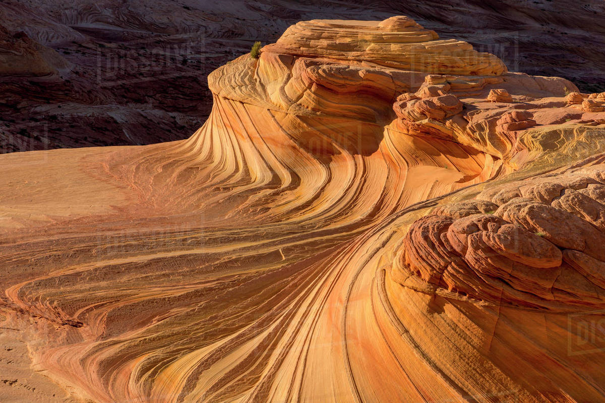 The Second Wave in the Vermillion Cliffs Wilderness, Arizona, USA