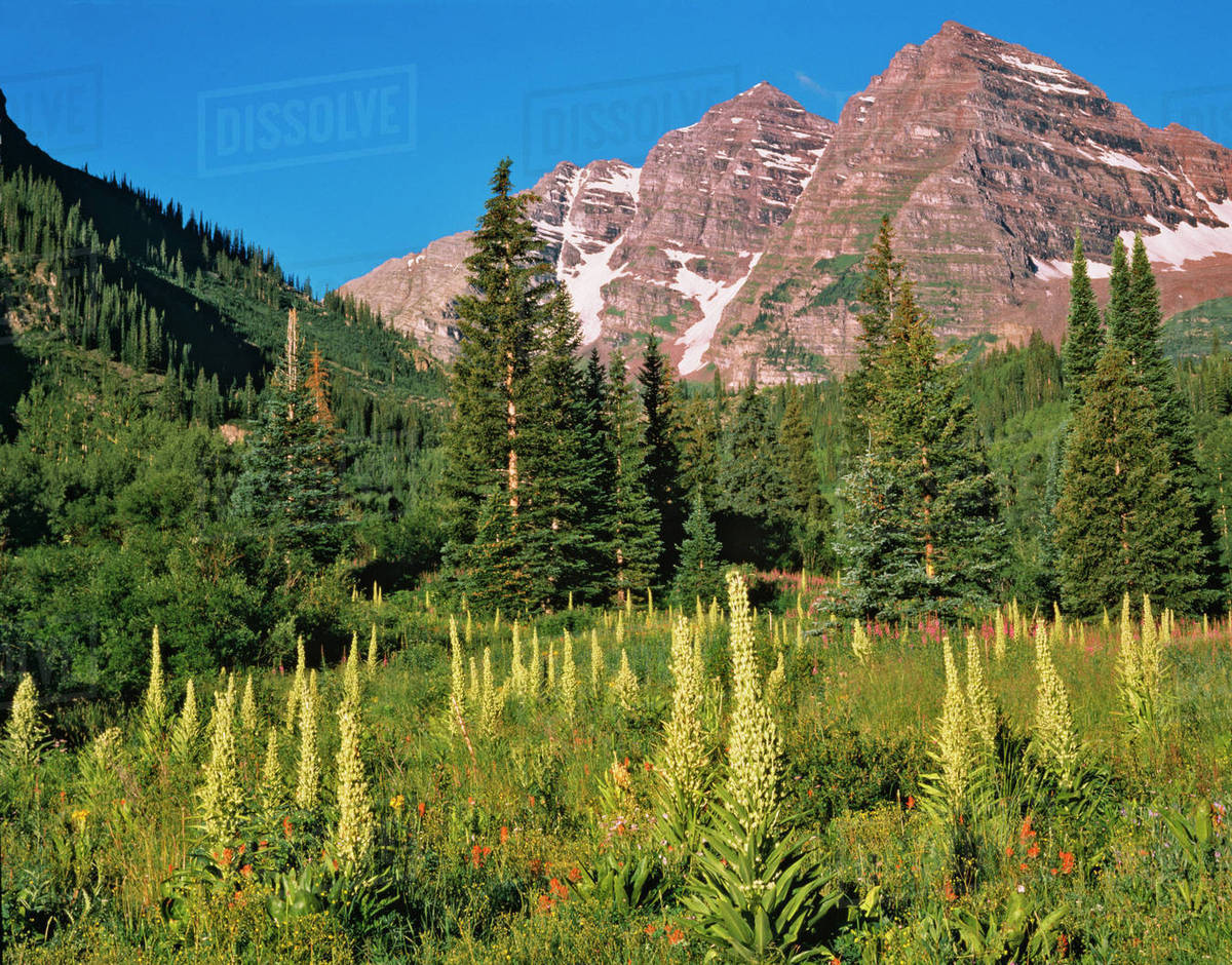 USA, Colorado, White Mountain National Forest. The Maroon Bells peaks