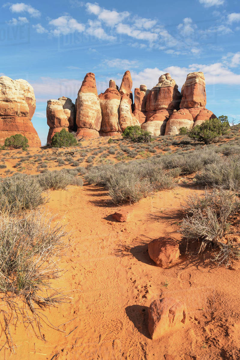Chesler Park Canyonlands National Park, Utah - Stock Photo - Dissolve