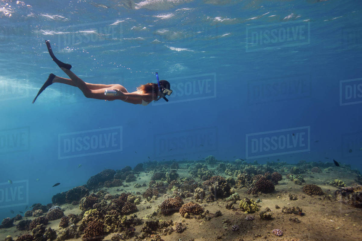 Underwater view of woman snorkeling, Oahu, Hawaii, USA Stock Photo