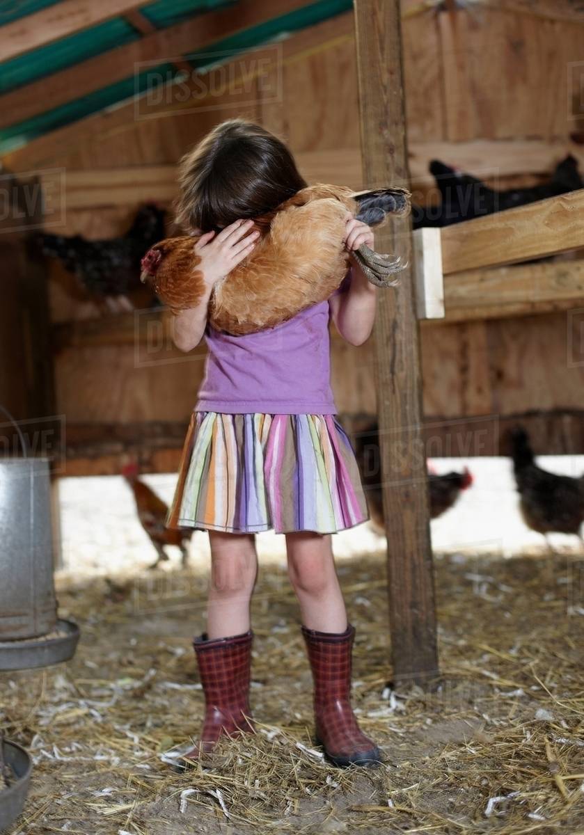 Girl holding hen in hen house Stock Photo Dissolve