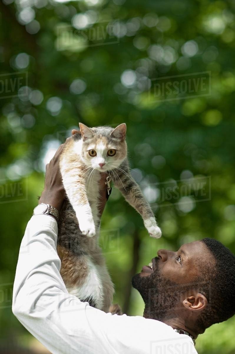 Man lifting a cat up Stock Photo Dissolve