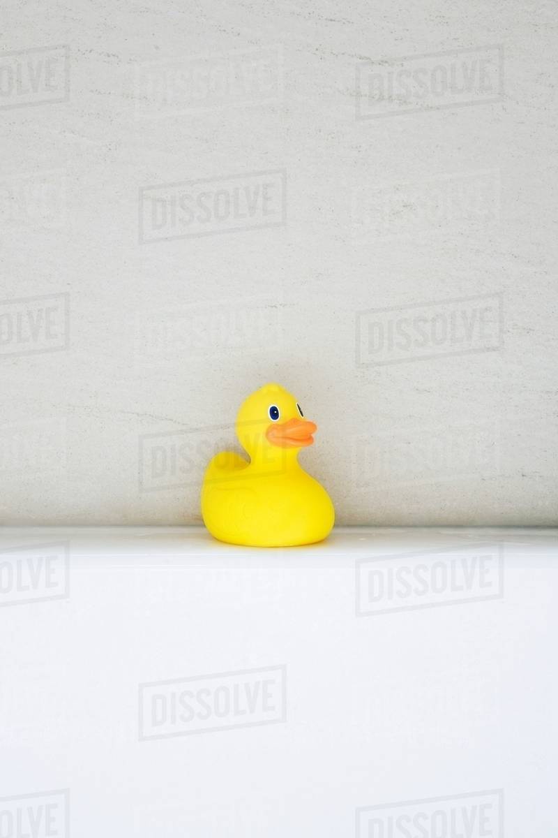 Rubber duck Stock Photo Dissolve