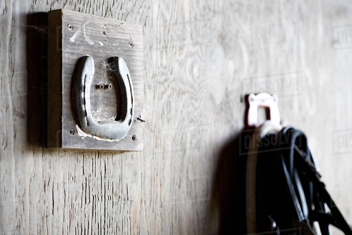 Horse's reigns and stable Stock Photo Dissolve