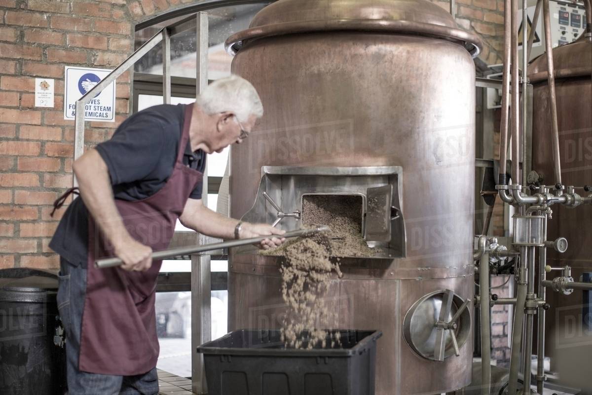 Brewer cleaning a copper kettle in the brewery Stock Photo Dissolve