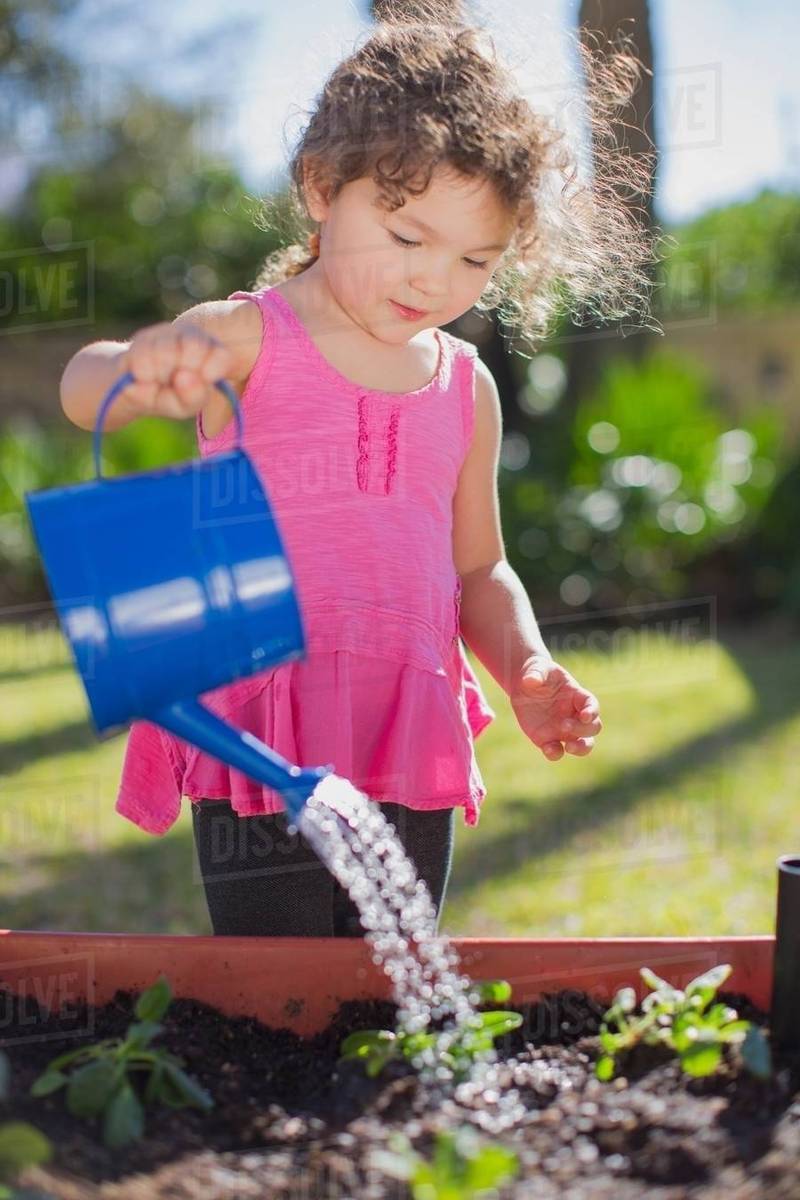 Young girl in garden, holding watering can, watering