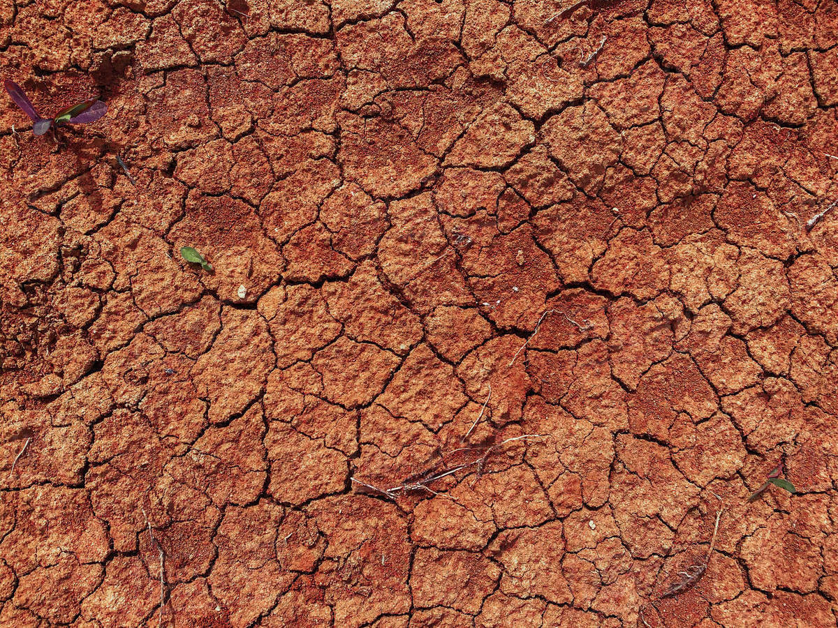 Top view to clay dry and waterless soil with cracks in the desert with