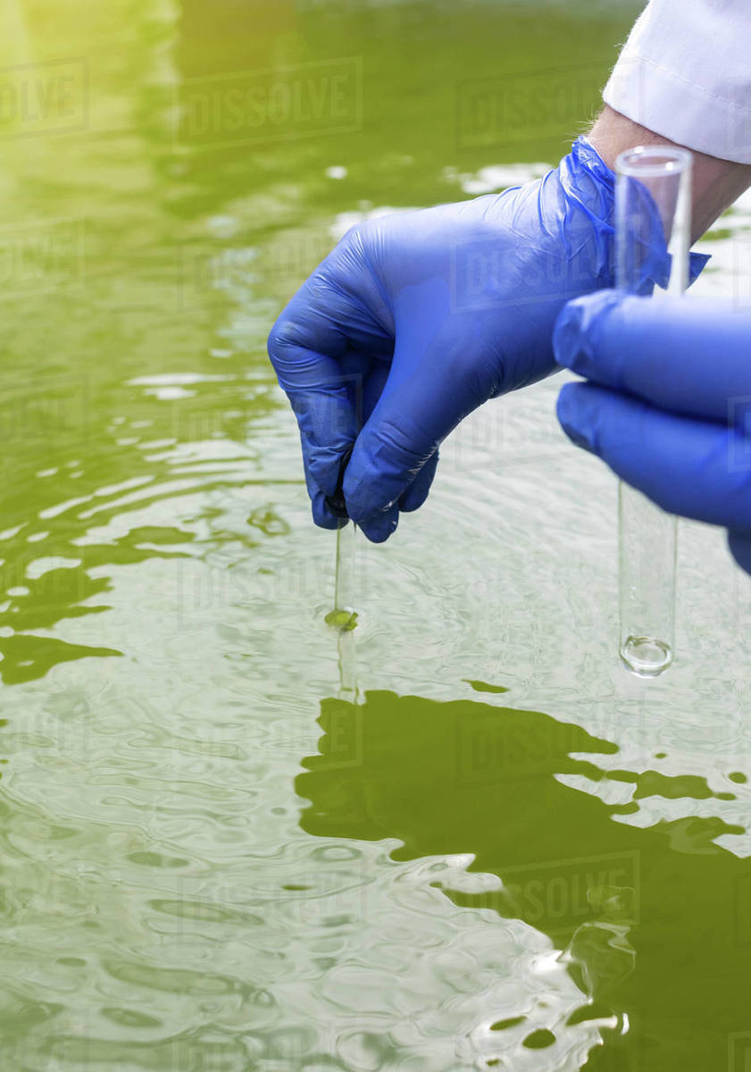 Water sample. Treatment facilities. Quality control of water that has