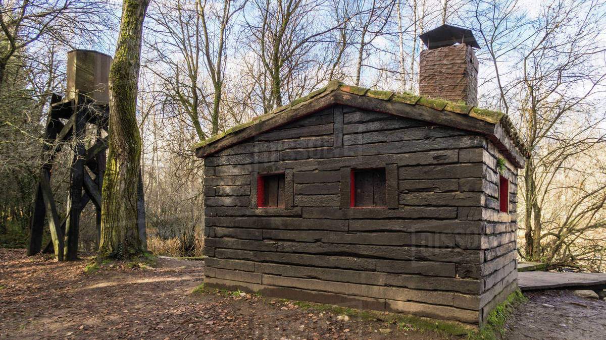 Finnish Forest in Madrid, Spain Stock Photo Dissolve