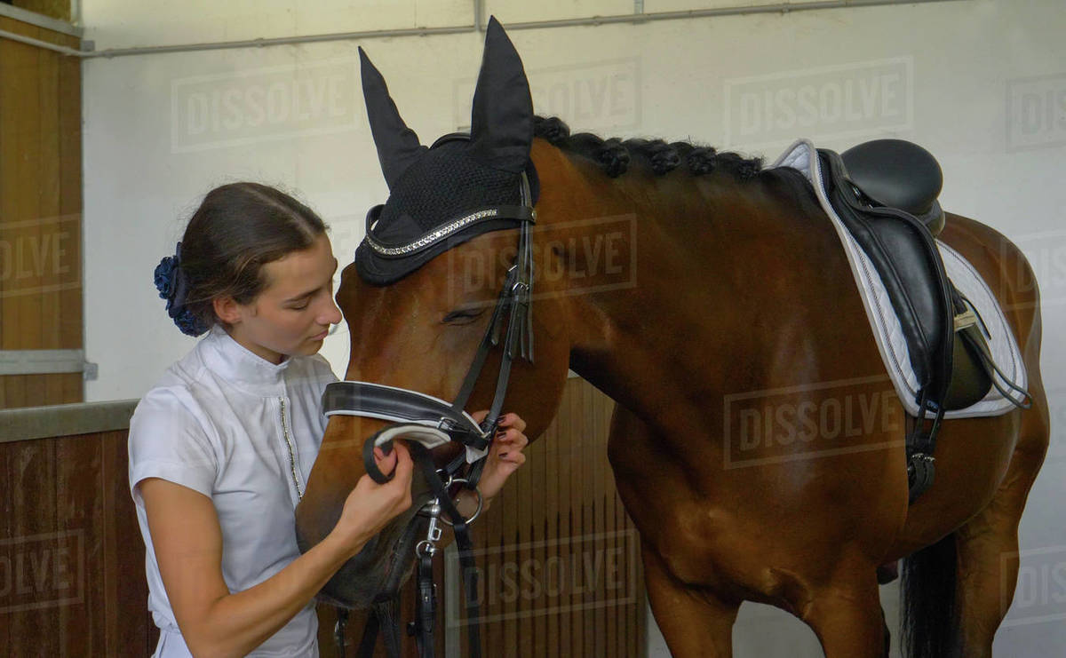 CLOSE UP Young Caucasian woman in formal wear putting a bridle on her