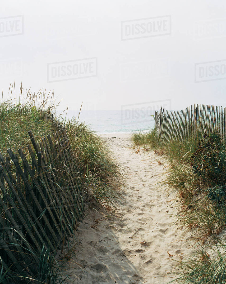Sandy path leading to beach - Stock Photo - Dissolve