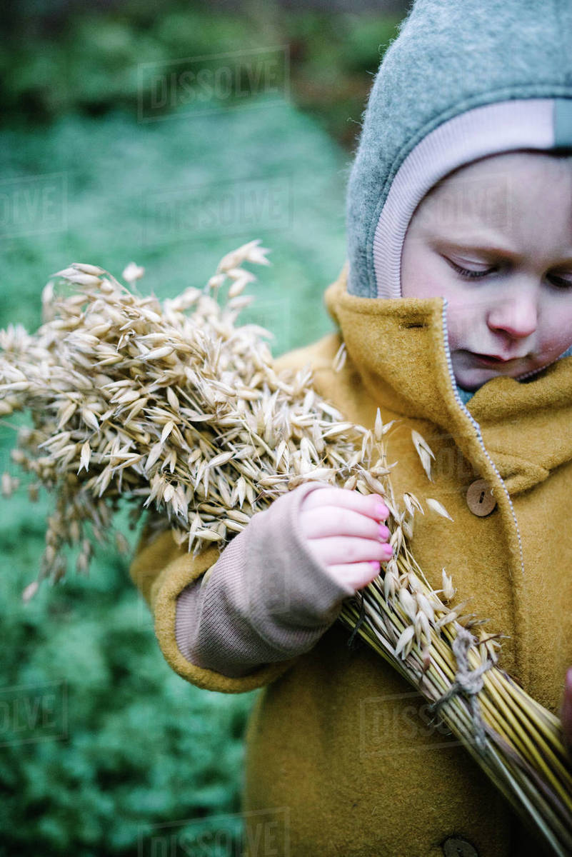 A girl holing a corn sheaf Stock Photo Dissolve