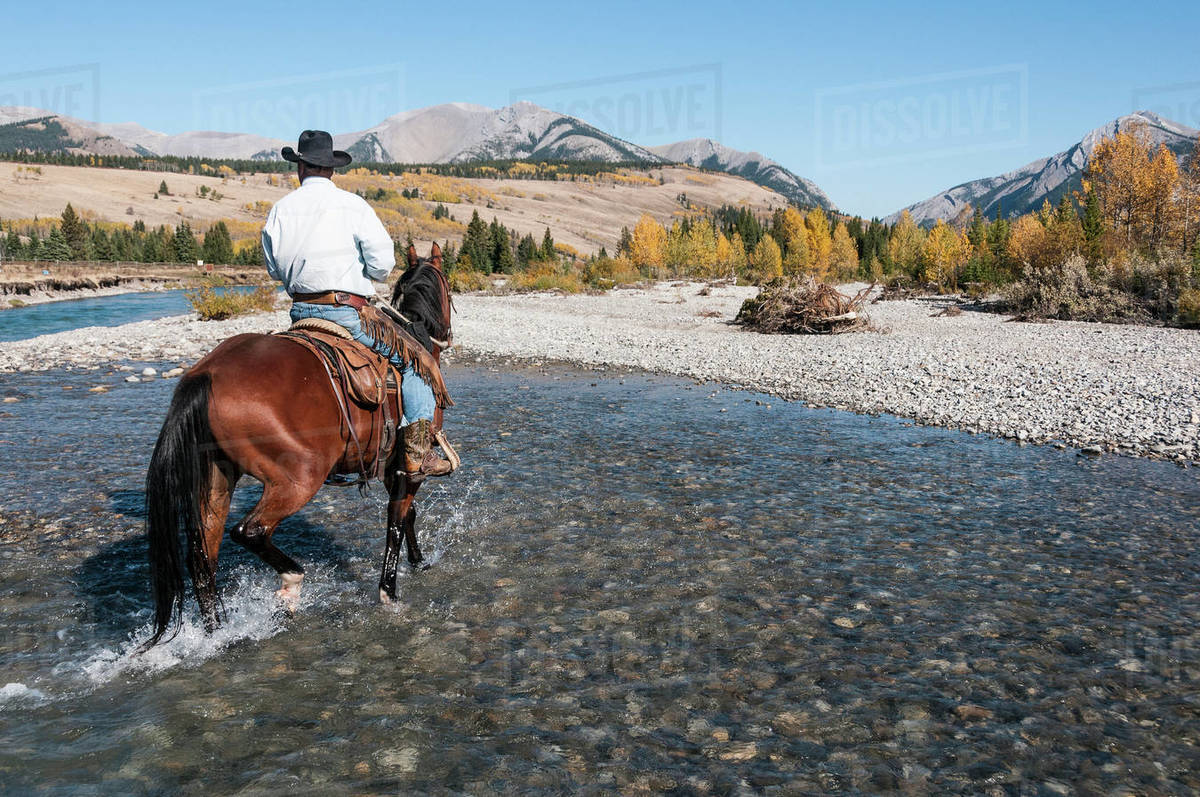 Cowboy And Horse Crossing River, Clearwater County Stock Photo Dissolve