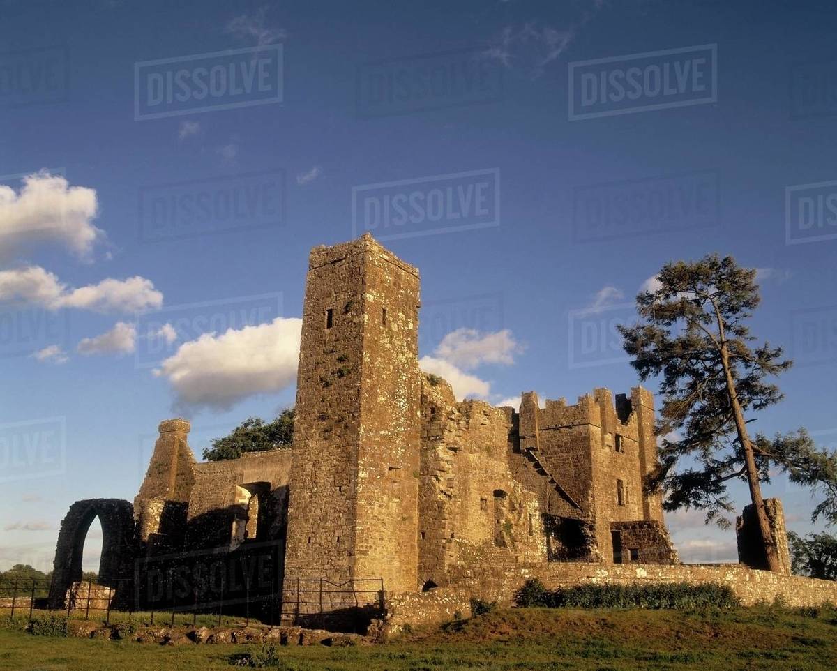 Bective Abbey, Co Meath, Ireland Stock Photo Dissolve