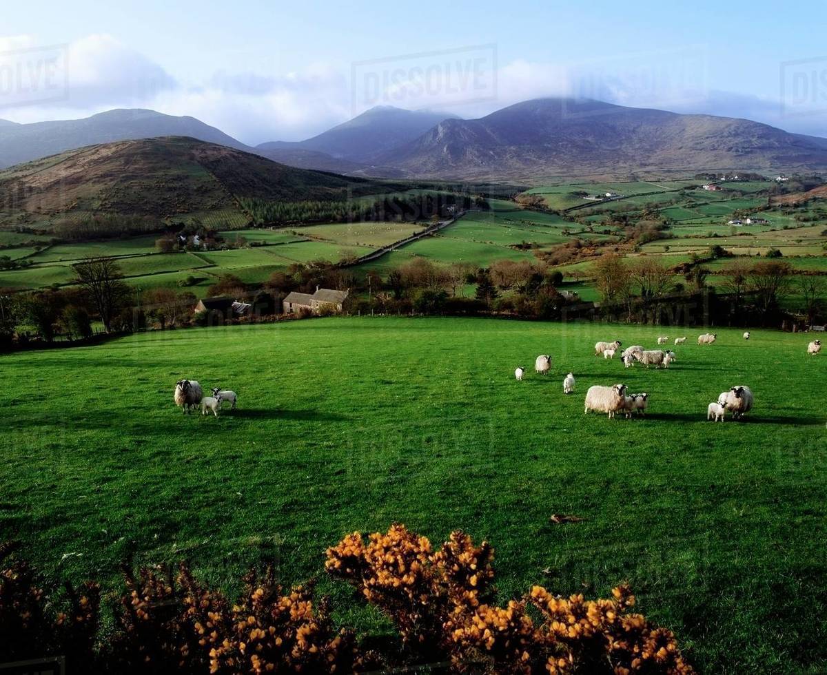 Mourne Mountains From Trassey Road, Co. Down, Ireland Stock Photo