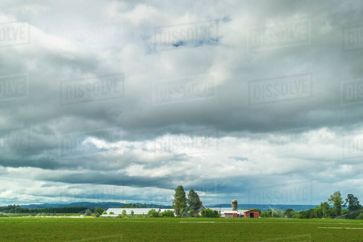 Fertile Farmland; Oregon, United States Of America Stock Photo Dissolve