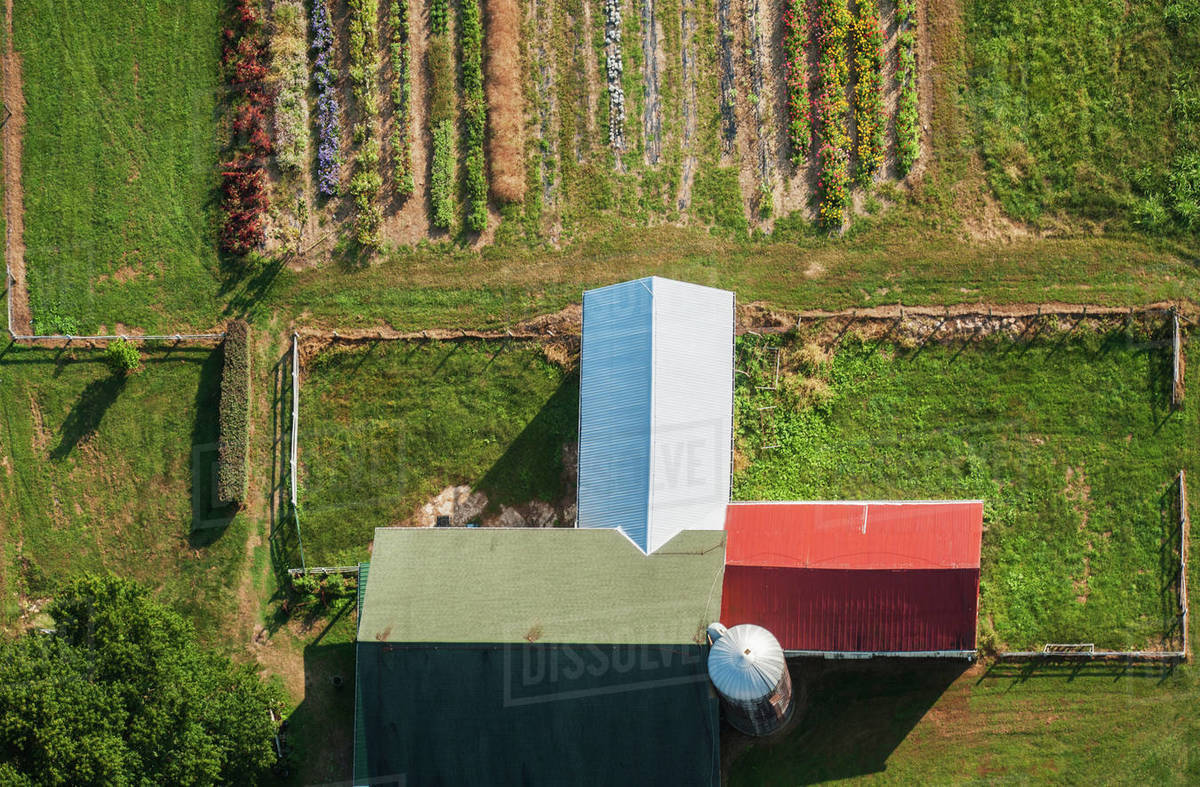 Aerial View Of Farm Buildings, Harford County; Fallston, Maryland