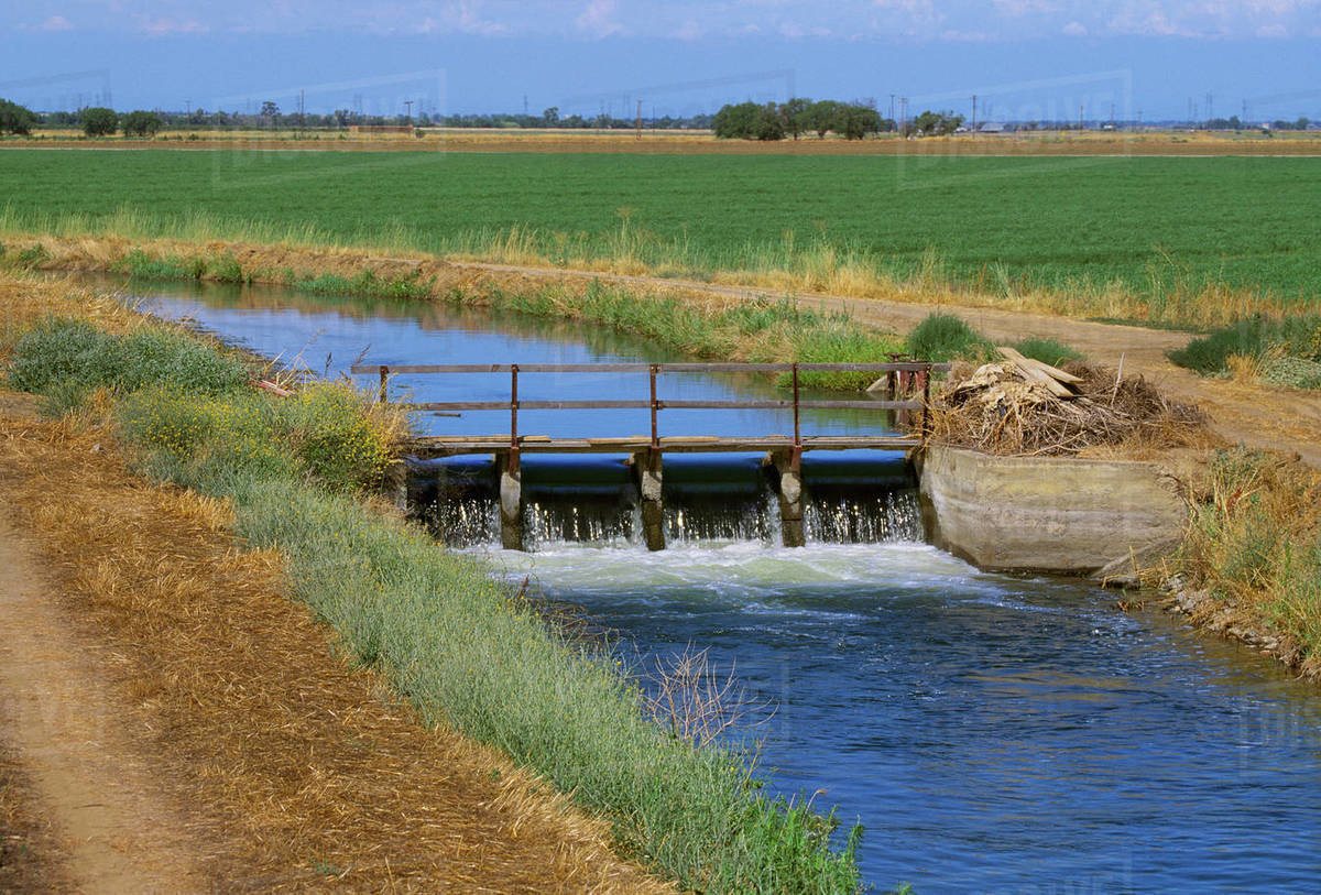 Agriculture An irrigation canal runs alongside an alfalfa field