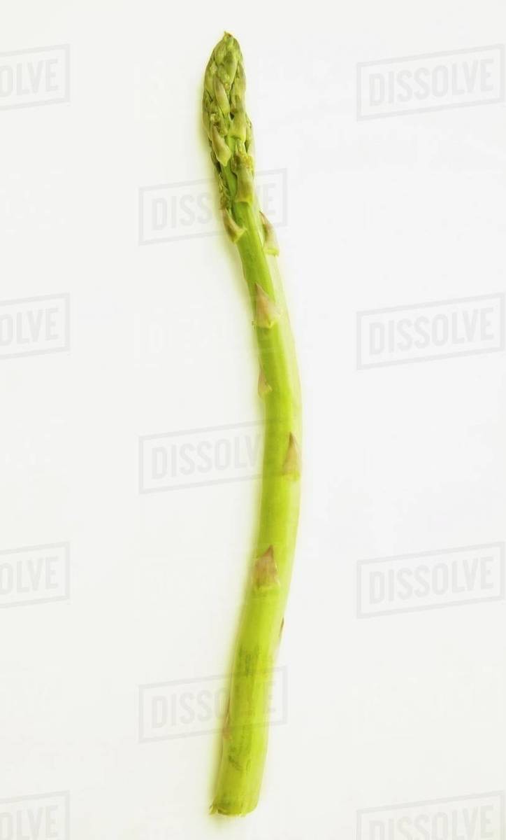One Asparagus Stock Photo Dissolve