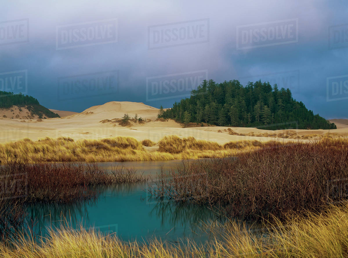 The clouds over Oregon Dunes National Recreation Area; Winchester Bay