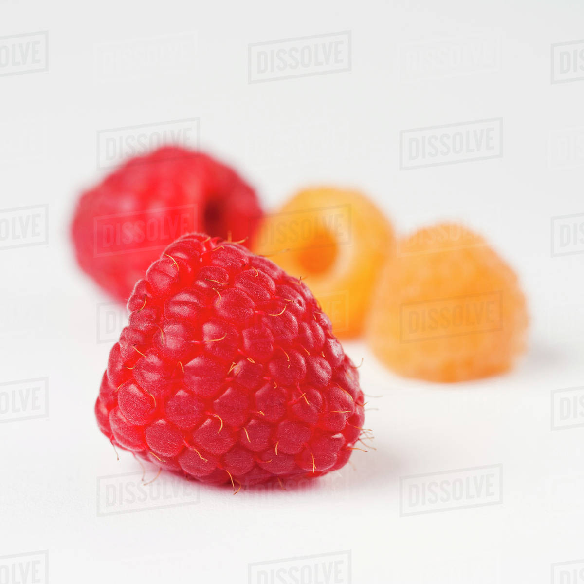 Agriculture - Red and golden raspberries on a white surface. - Stock ...