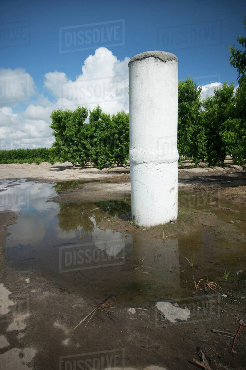 Agriculture This irrigation standpipe broke off from the underground