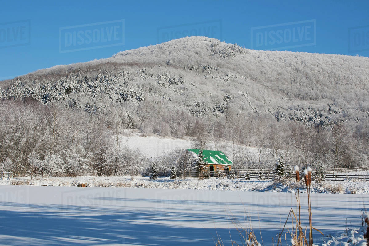 Snow Covered Trees On A Mountain And A Stable With A Green Roof; Iron