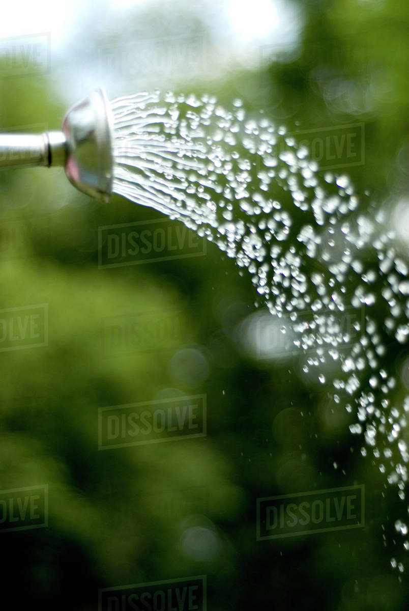 Water Sprinkling From Watering Can, Munson Park, Winnipeg, Canada
