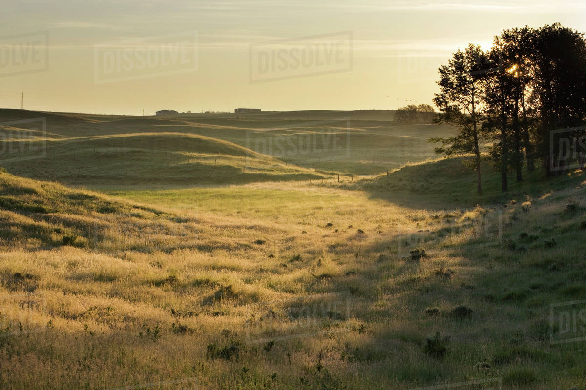 Pasture Land, Alberta, Canada Stock Photo Dissolve Pasture Land, Alberta, Canada Stock Photo Dissolve