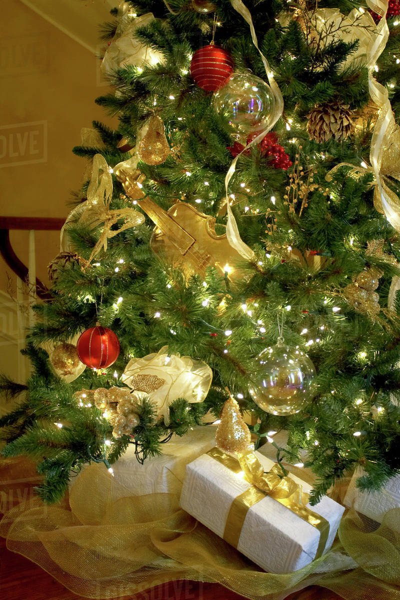 Presents Under A Christmas Tree, Canada, Ontario Stock Photo Dissolve