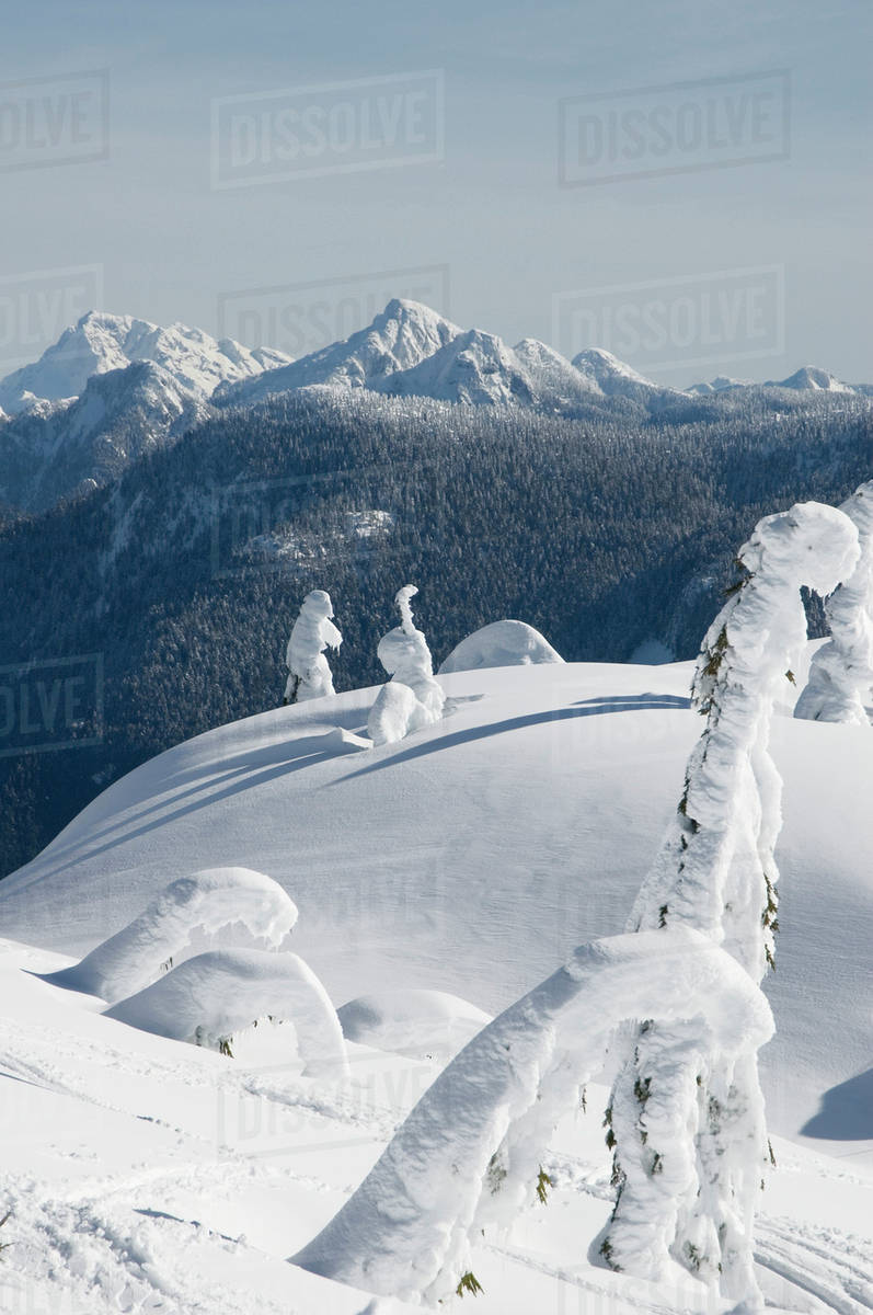 Snowshoeing On Grouse Mountain, British Columbia Stock Photo Dissolve
