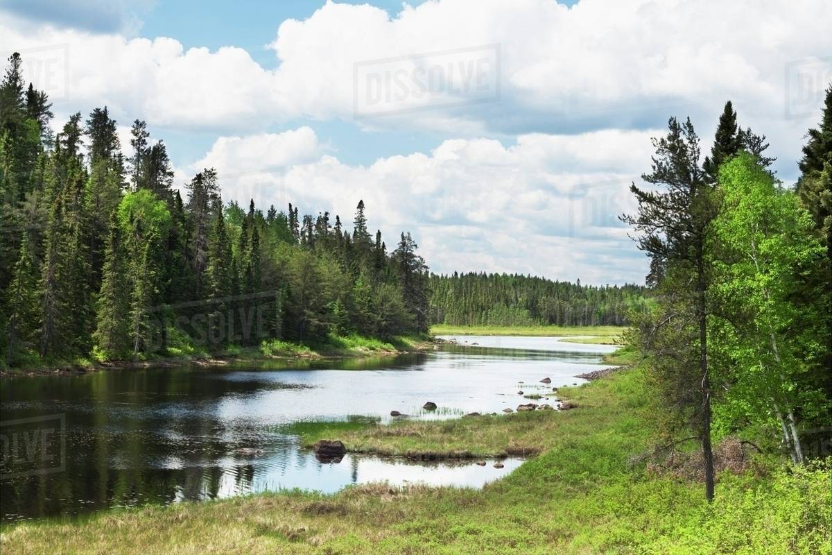 A Pond Surrounded By Forest; Thunder Bay, Ontario, Canada Stock Photo Dissolve