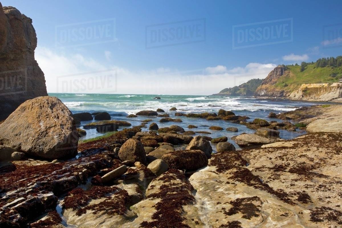 Otter Rock Beach Along The Oregon Coast United States Of Otter Rock Beach Along The Oregon Coast