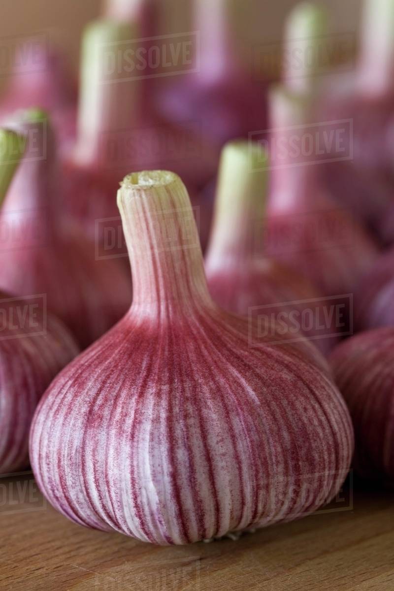 Garlic Bulbs; Calgary, Alberta, Canada Stock Photo Dissolve