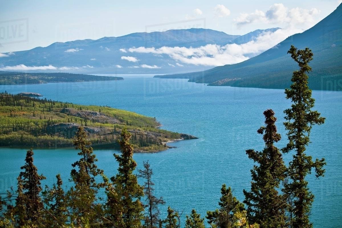 Tagish Lake And Bove Island With The Ruby And Coast Mountains In The