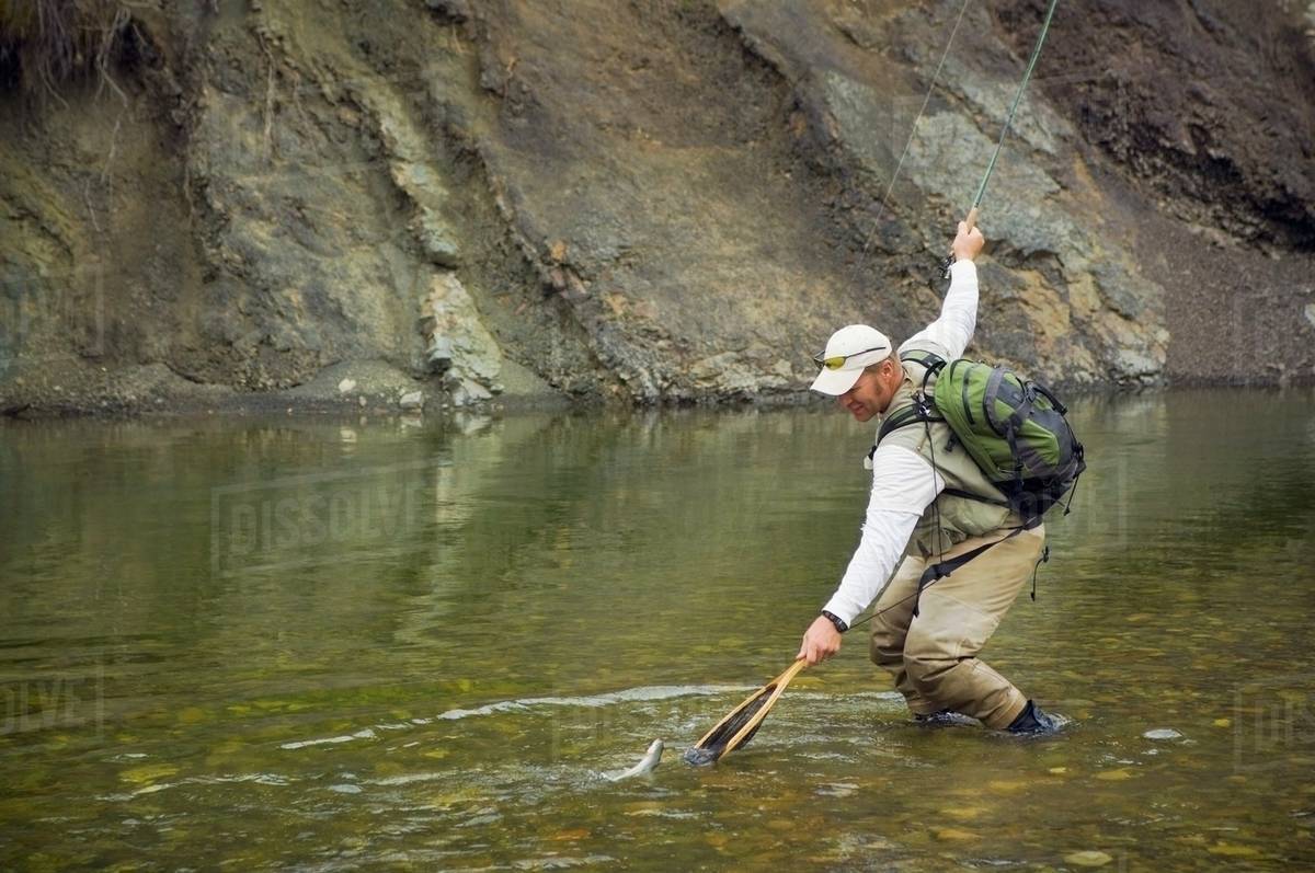 Man Catching Trout While Fly Fishing; Nordegg, Alberta, Canada ...