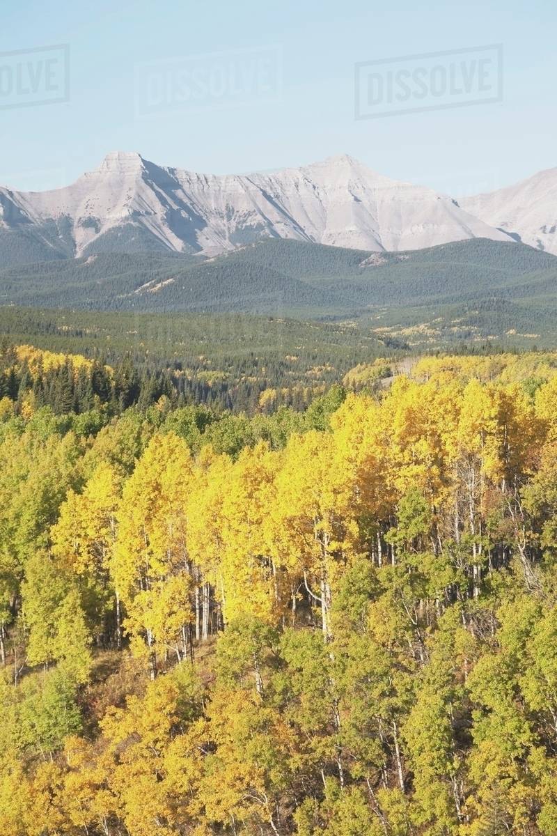 West Of The Turner Valley, Kananaskis Country, Alberta Stock Photo