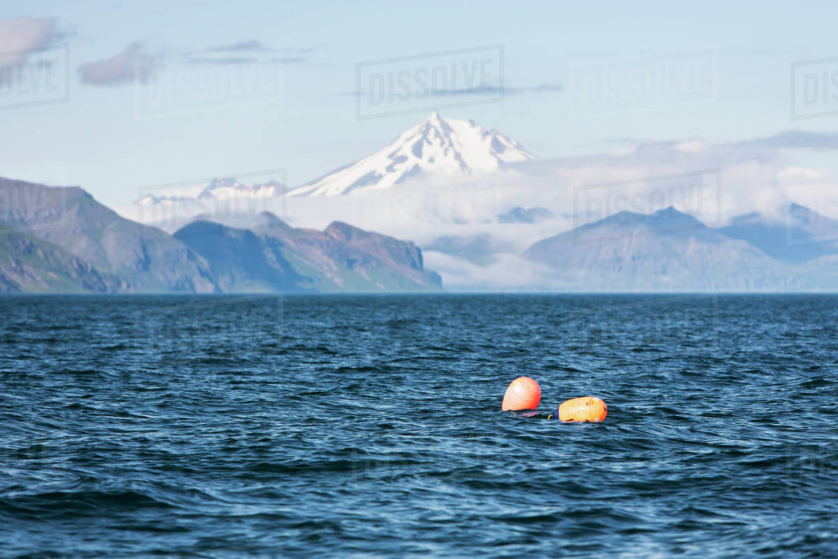 Two Buoys Mark The End Of A Skate Of Halibut Longline Gear In Ikatan Bay, Below Isanotski Peak